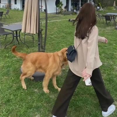 后妈许多多