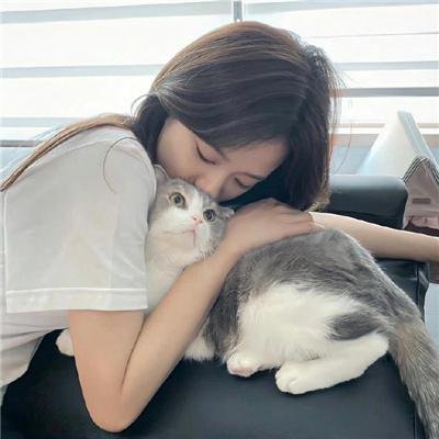 绝对统治